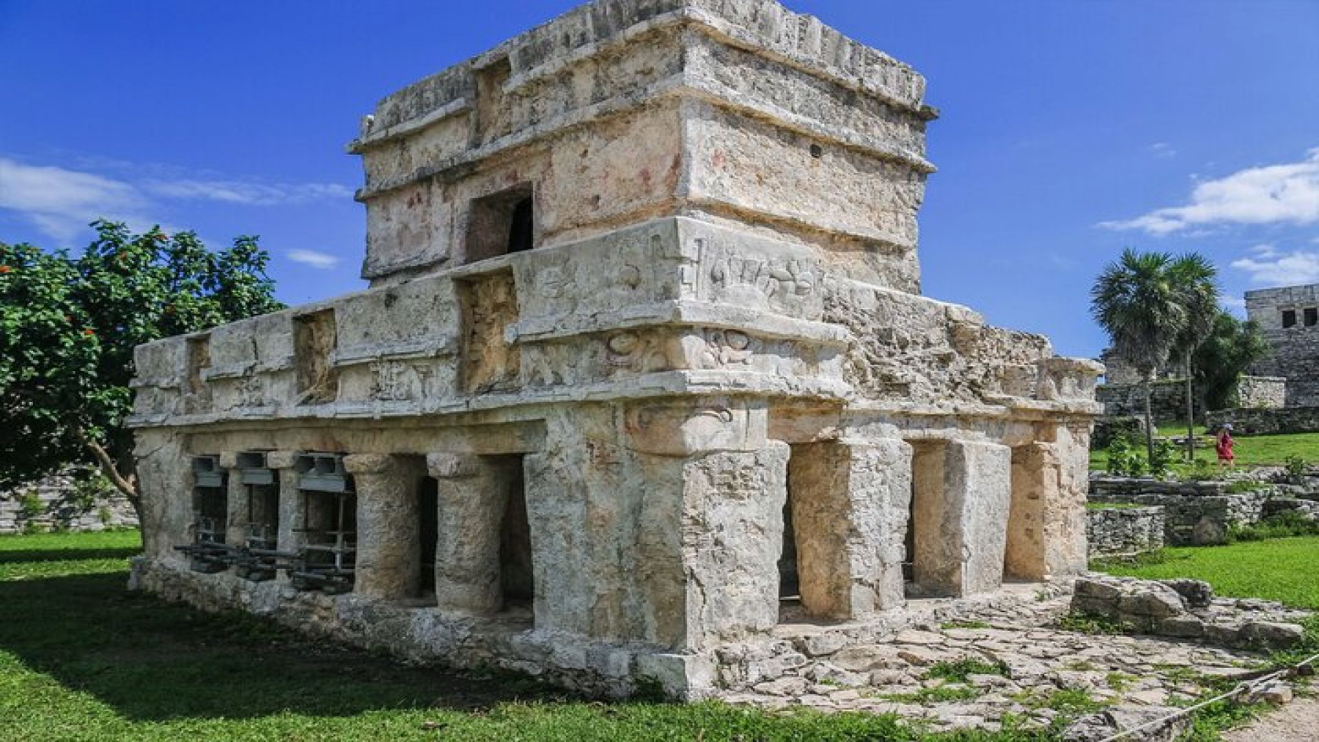 Tulum Ruins, Turtles in Akumal and Cenote tour