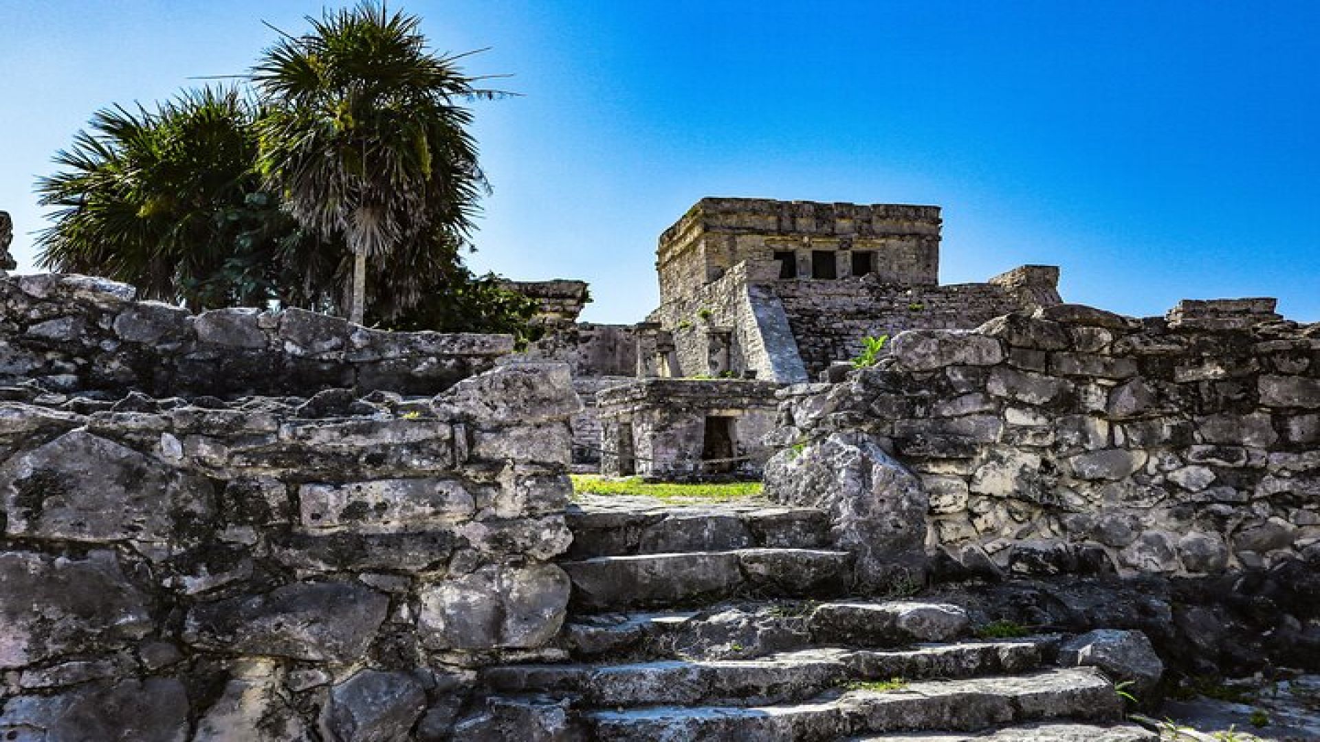 Private Tulum Ruins, Turtles in Akumal and Cenote Adventure