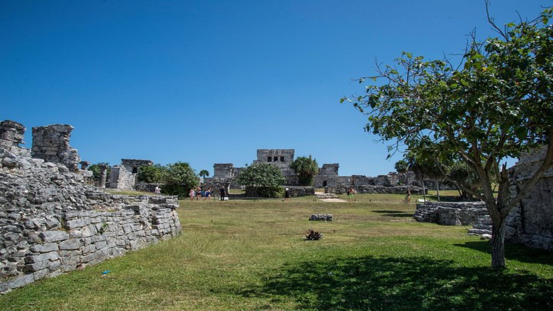 Private Tulum Ruins, Turtles in Akumal and Cenote Adventure