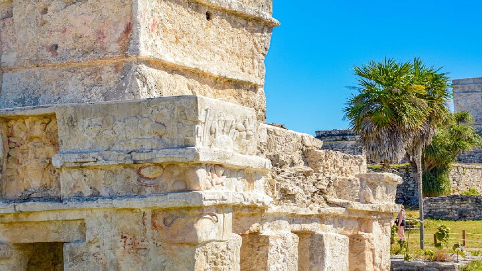 Tulum & Cenote Adventure