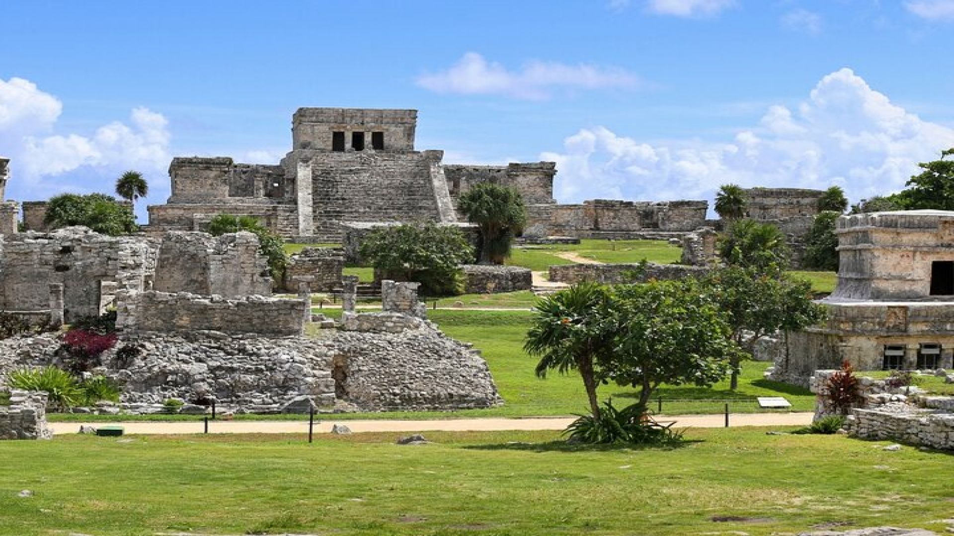 Tour to Tulum and Cenote Swimming with Turtles from Tulum