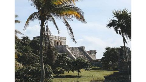 Private Tour to Tulum, Cenote and Swimming with Turtles