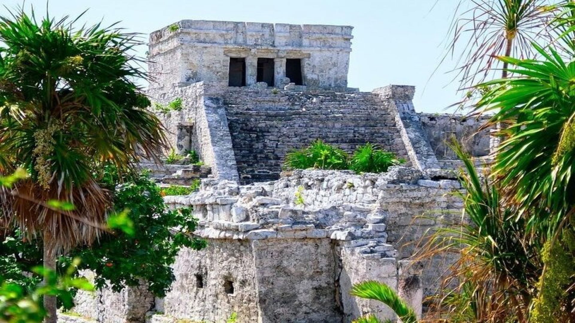 Private Tour to Tulum, Cenote and Swimming with Turtles