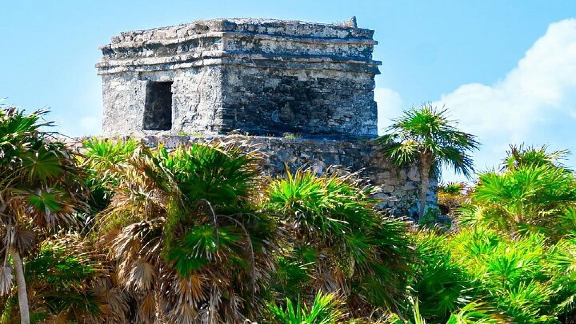 Private Tour to Tulum, Cenote and Swimming with Turtles