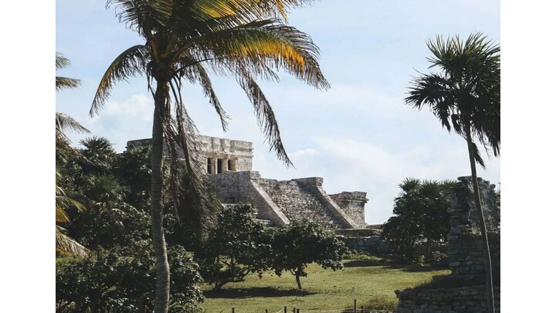 Private Tour to Tulum, Cenote and Swimming with Turtles