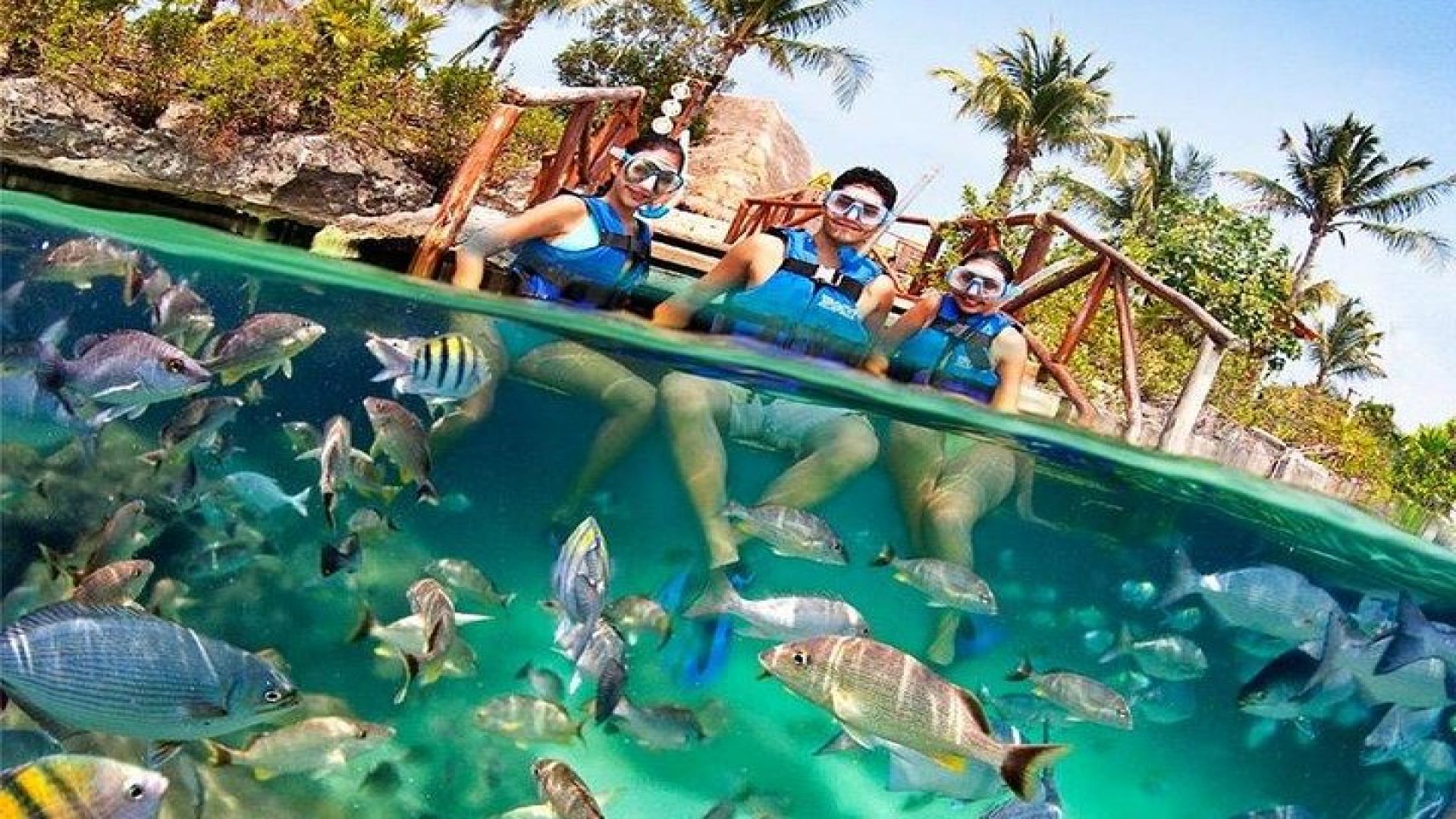 Xel-Ha All Inclusive Admission Ticket 