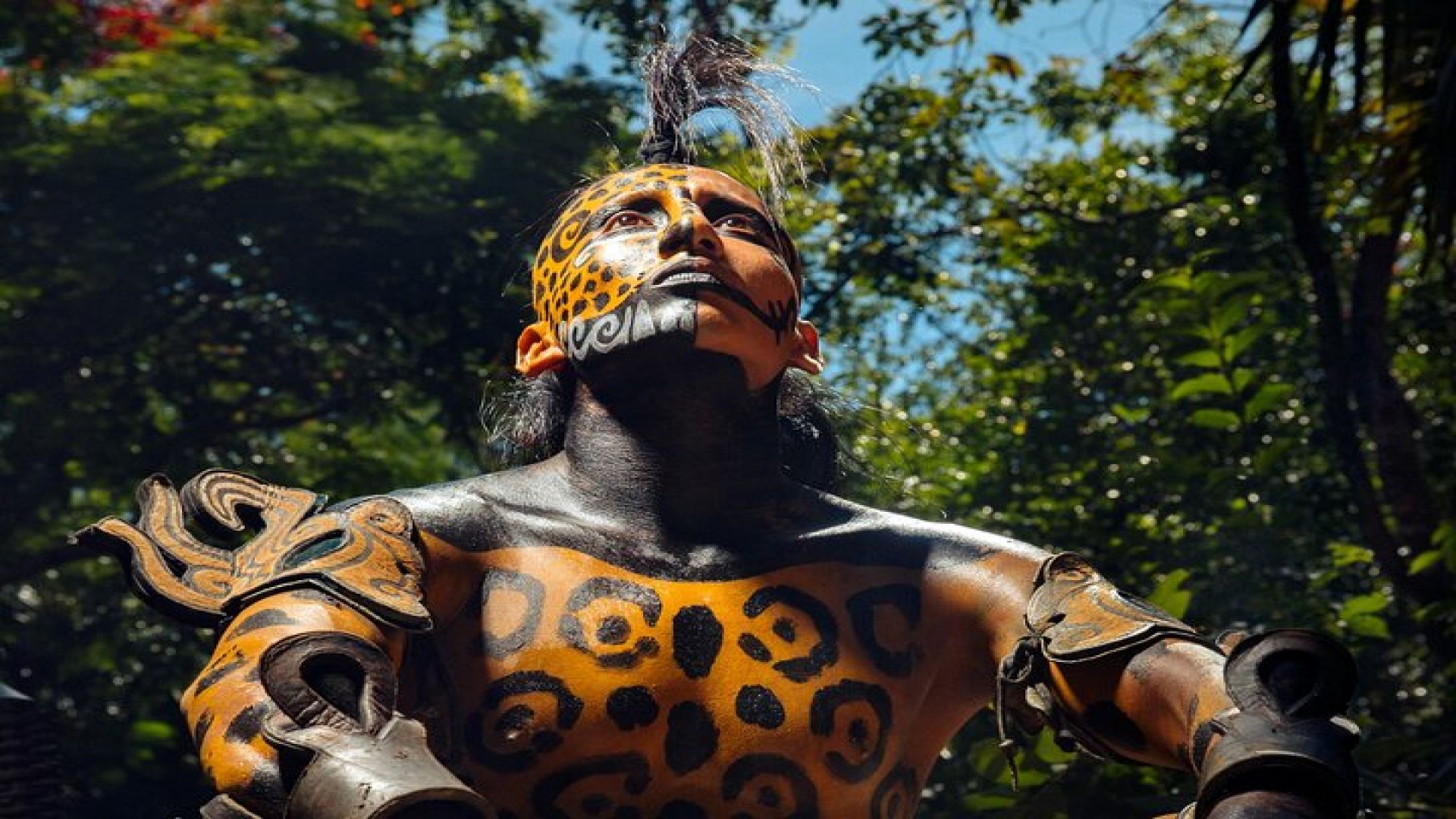 Xcaret Park Plus Access with Transportation and Night Show