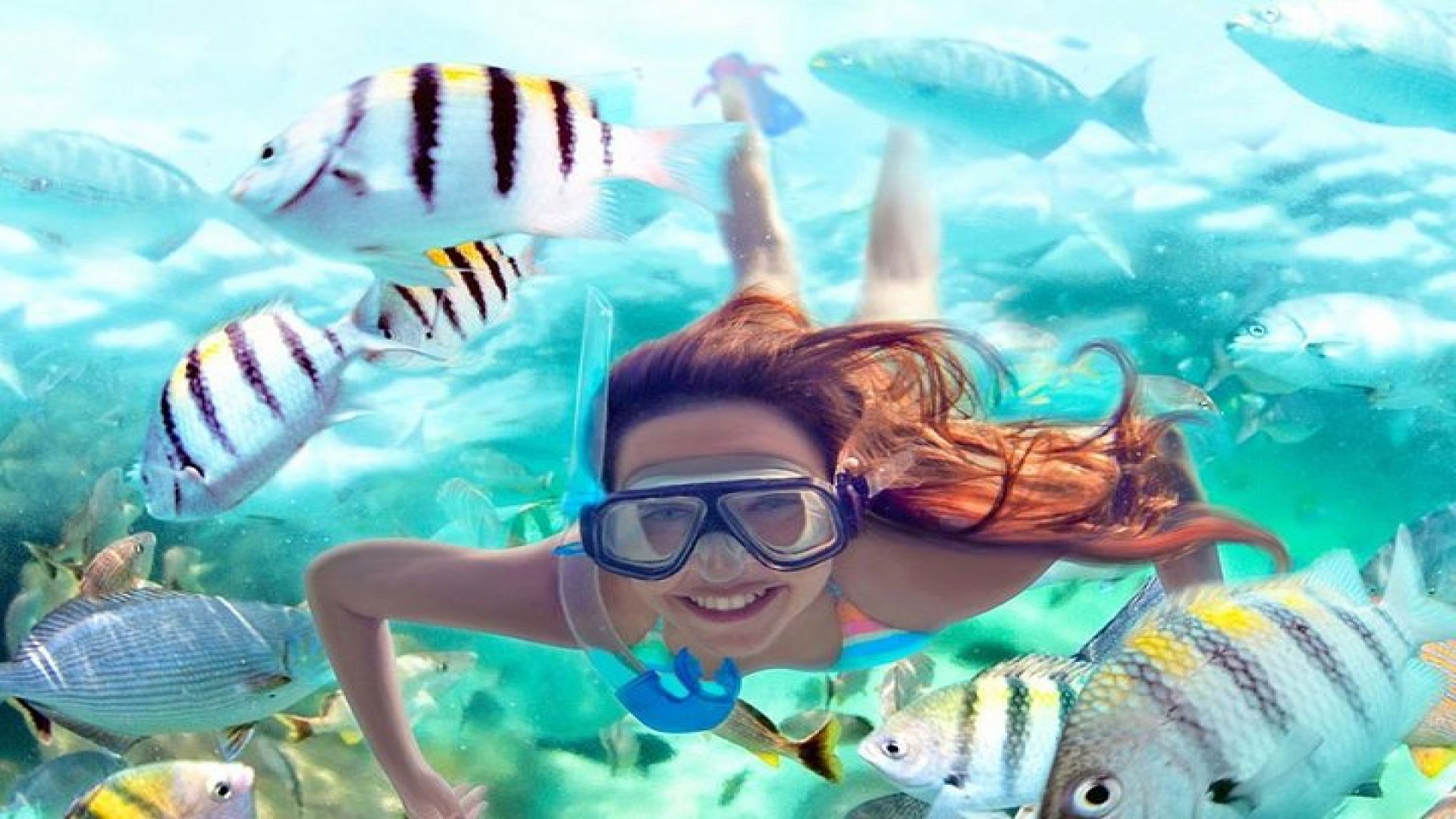 Fantastic Xel-Ha All Inclusive Tour only from Tulum