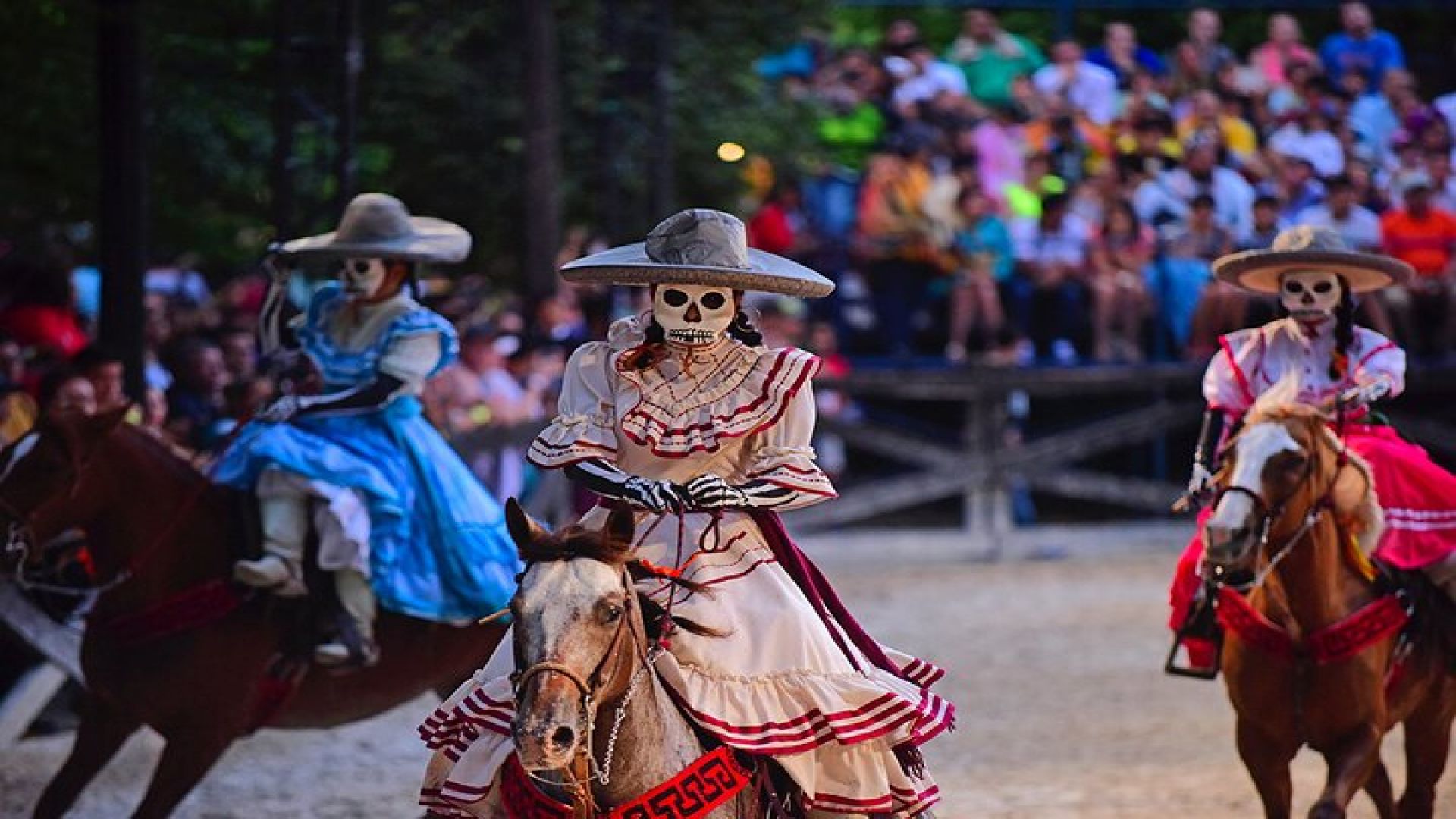 Xcaret Plus Ecoarchaeological Tour only from Playa del Carmen