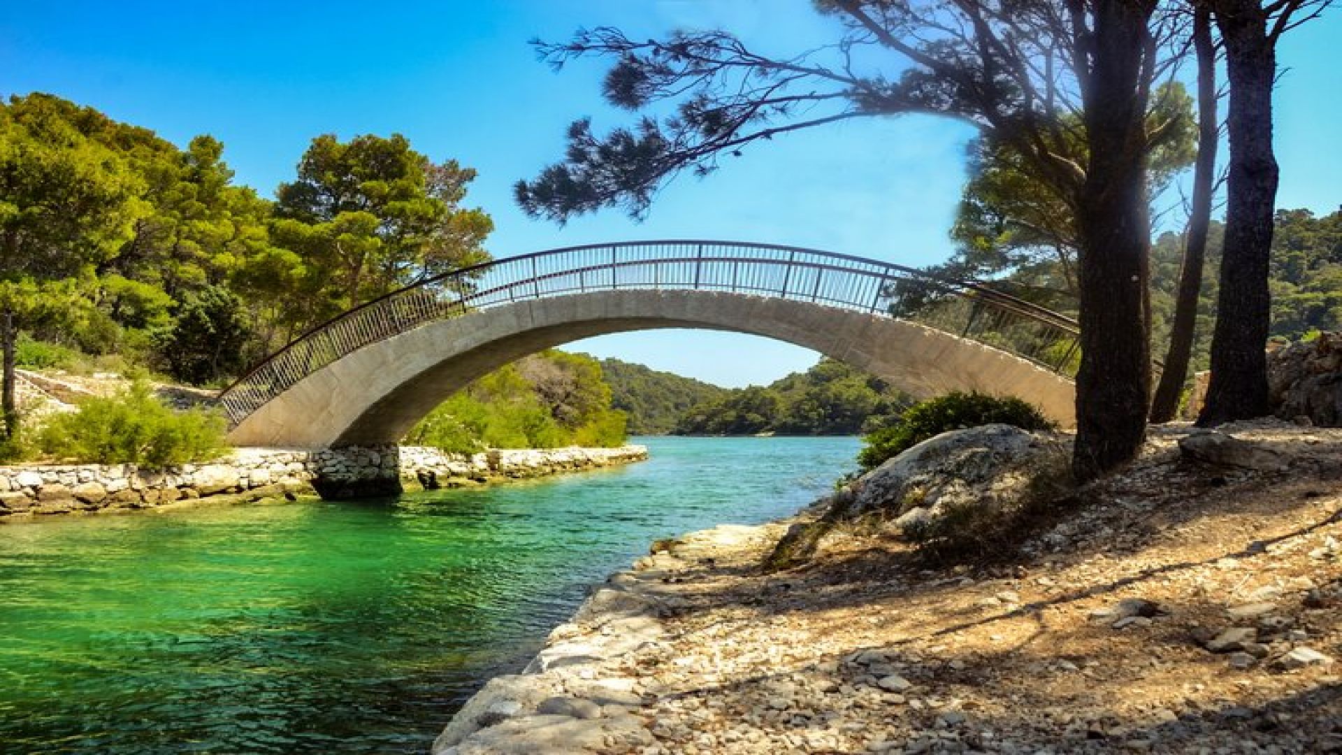 Boat Tour to Mljet National Park & 3 Islands