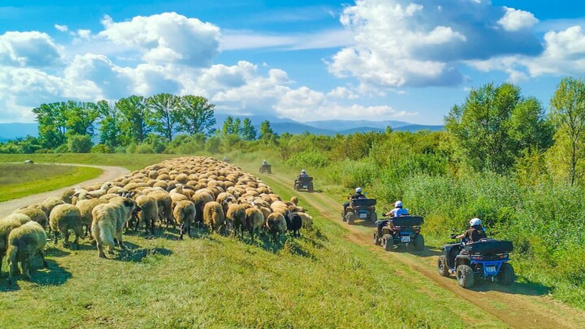 ATV Quad Safari Tour with Picnic & Swimming from Split