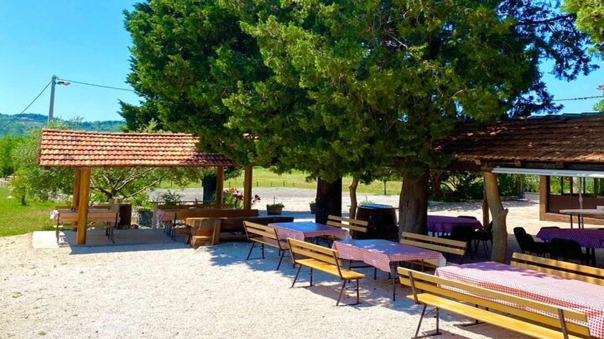 Half-Day Wine and Food Tasting from Dubrovnik