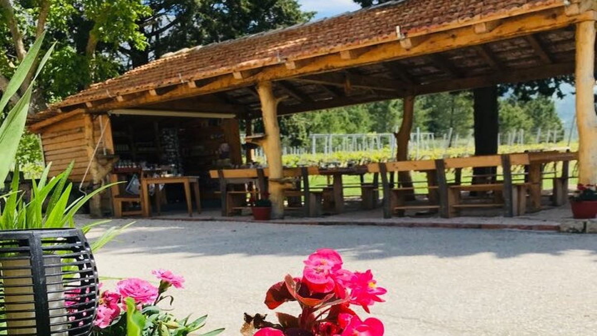 Half-Day Wine and Food Tasting from Dubrovnik