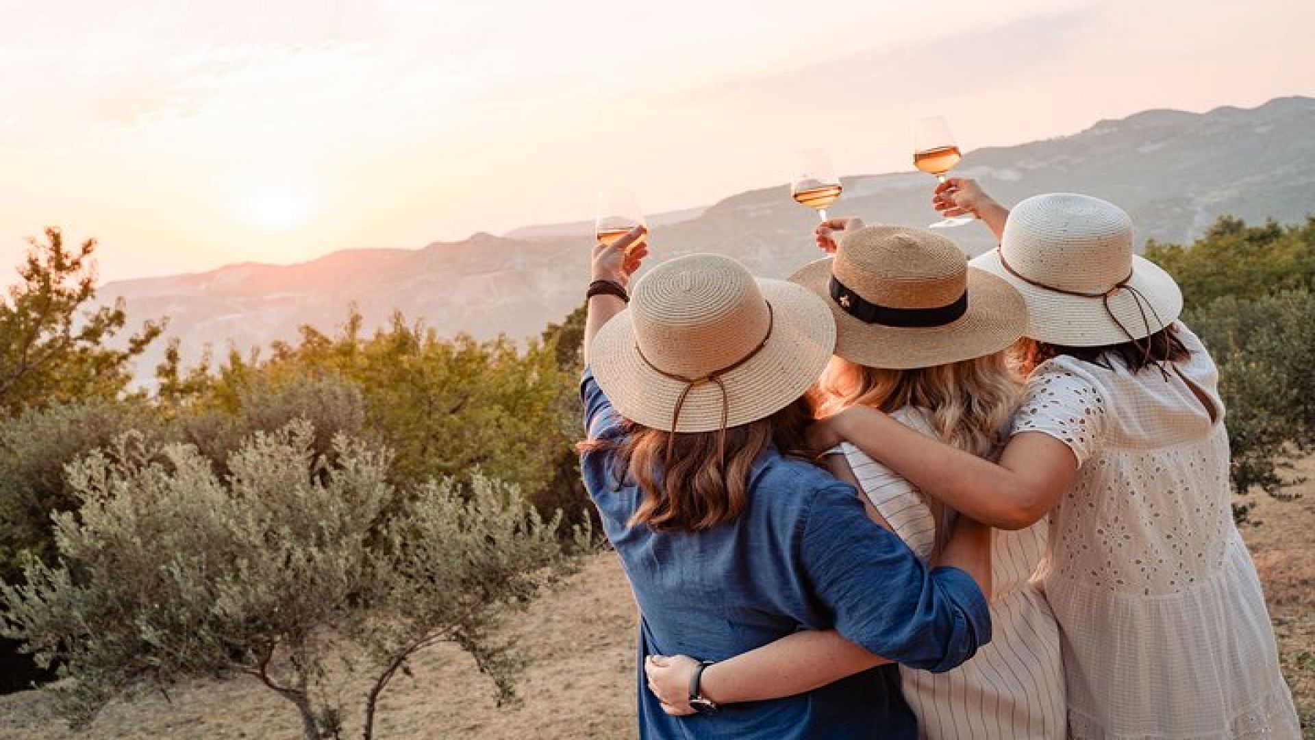 Sunset wine tasting in vineyard