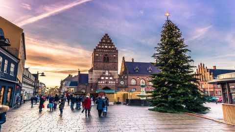 Christmas Charms of Roskilde - Private Walking Tour