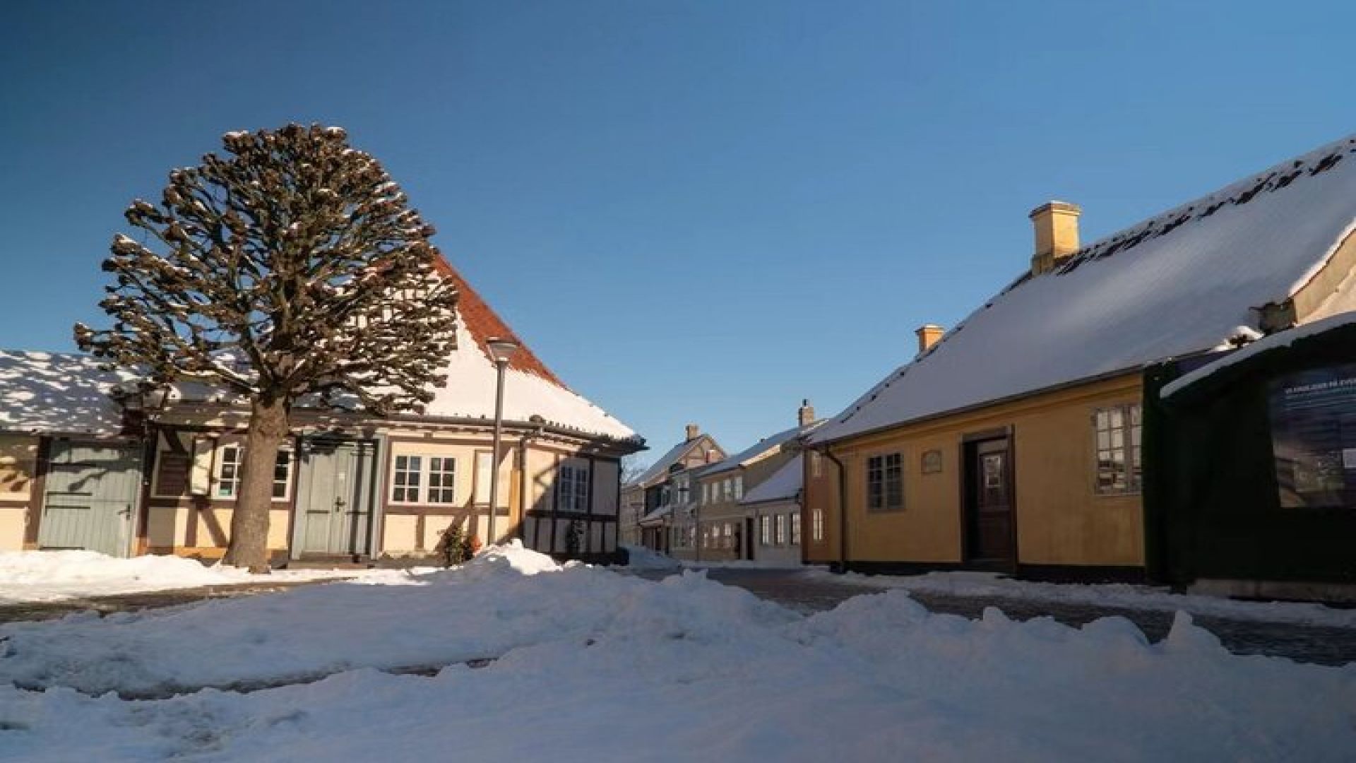 Christmas Charms in Odense – Private Walking Tour