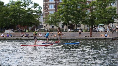Rental Stand Up Paddleboard at Kalvebod Bolge