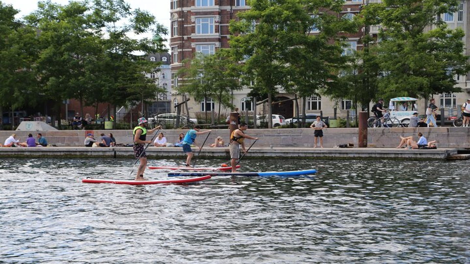 Rental Stand Up Paddleboard at Kalvebod Bolge