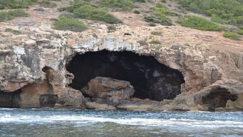 Carved Cova Tour with Wine Glass