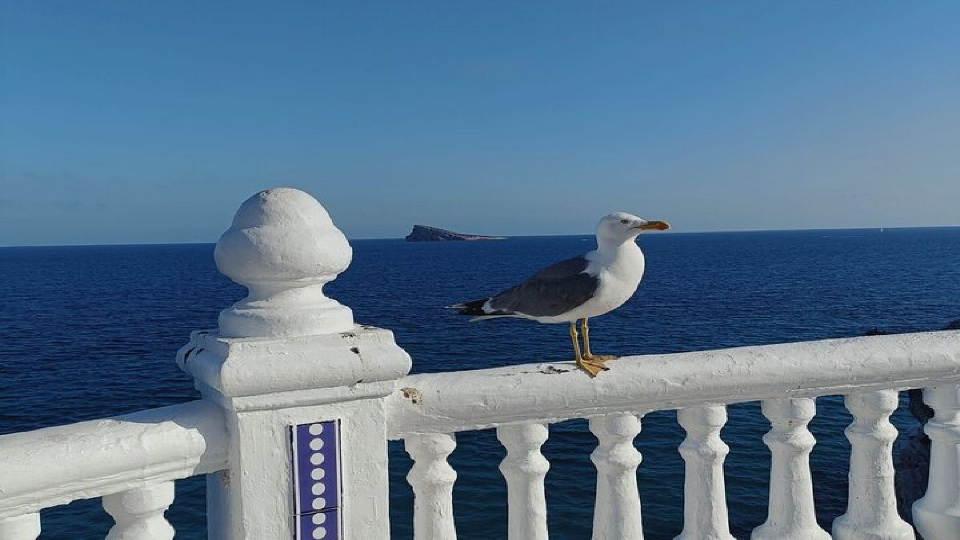 Benidorm Tour with Tapas