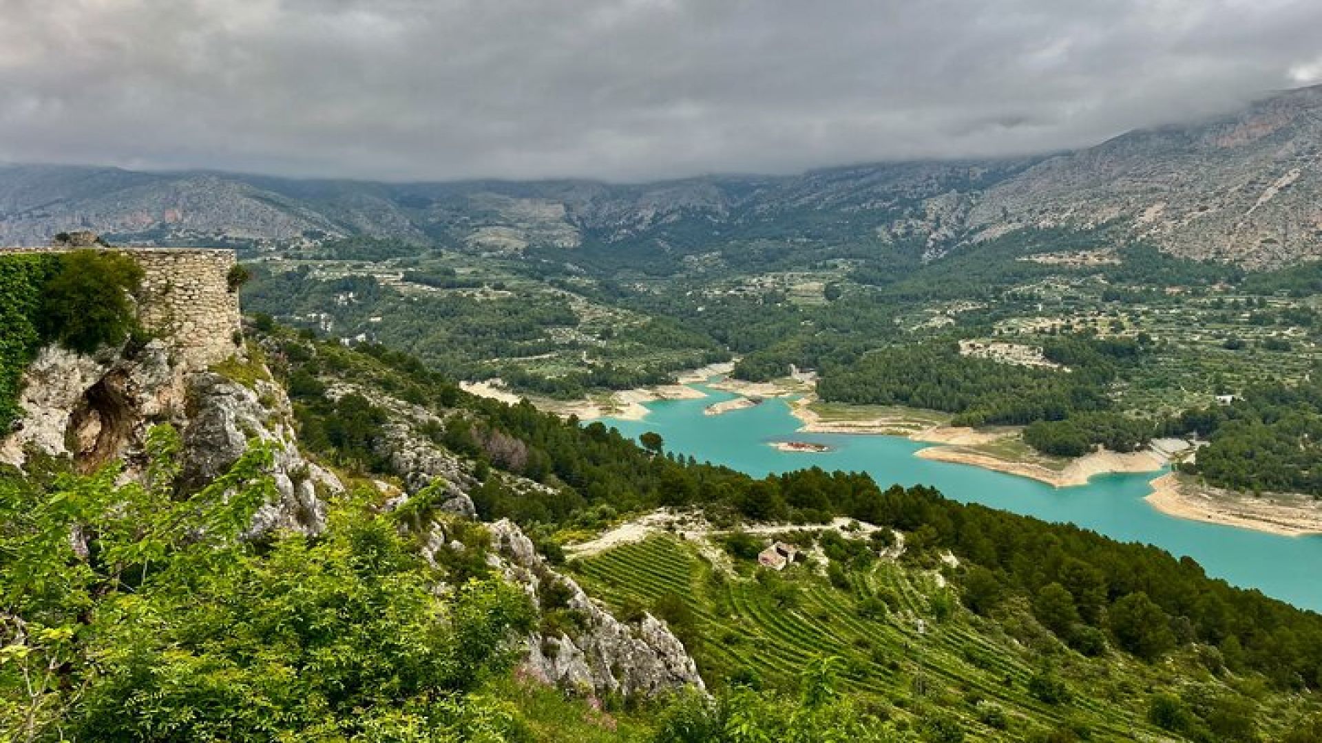 Premium Winery with 7 Tastings and Castle from Alicante and Benidorm