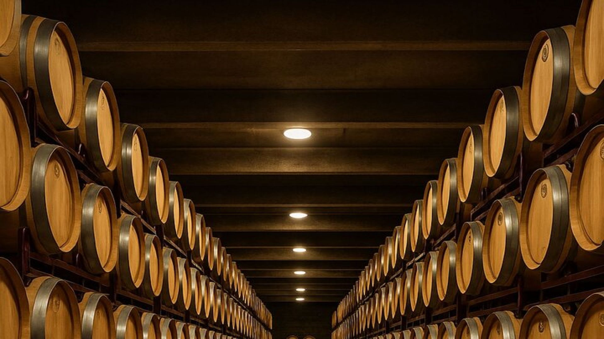 Premium Winery with 7 Tastings and Castle from Alicante and Benidorm