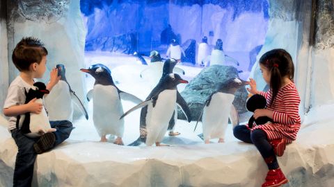 SEA LIFE London Aquarium - Standard Entry + VR (OFF PEAK)