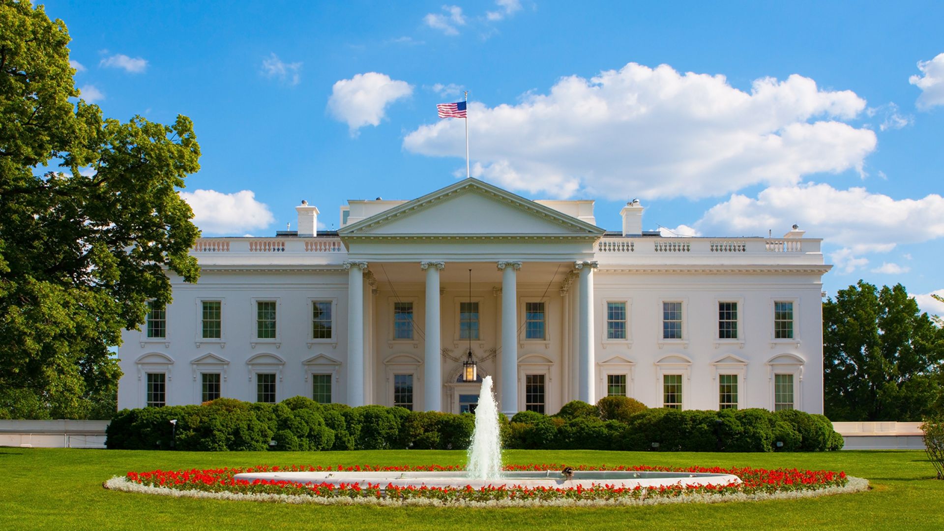 Washington DC Highlights, 1-Day Tour from NYC