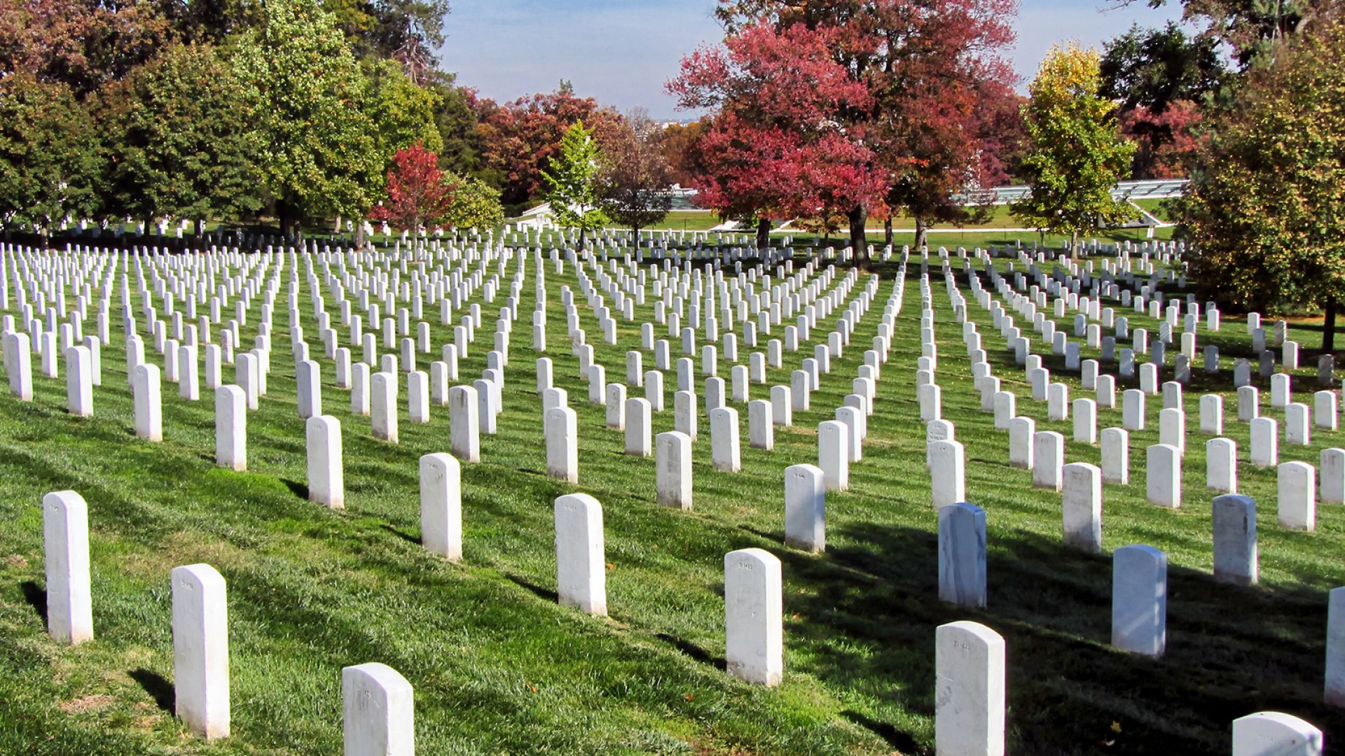 Washington DC Highlights, 1-Day Tour from NYC