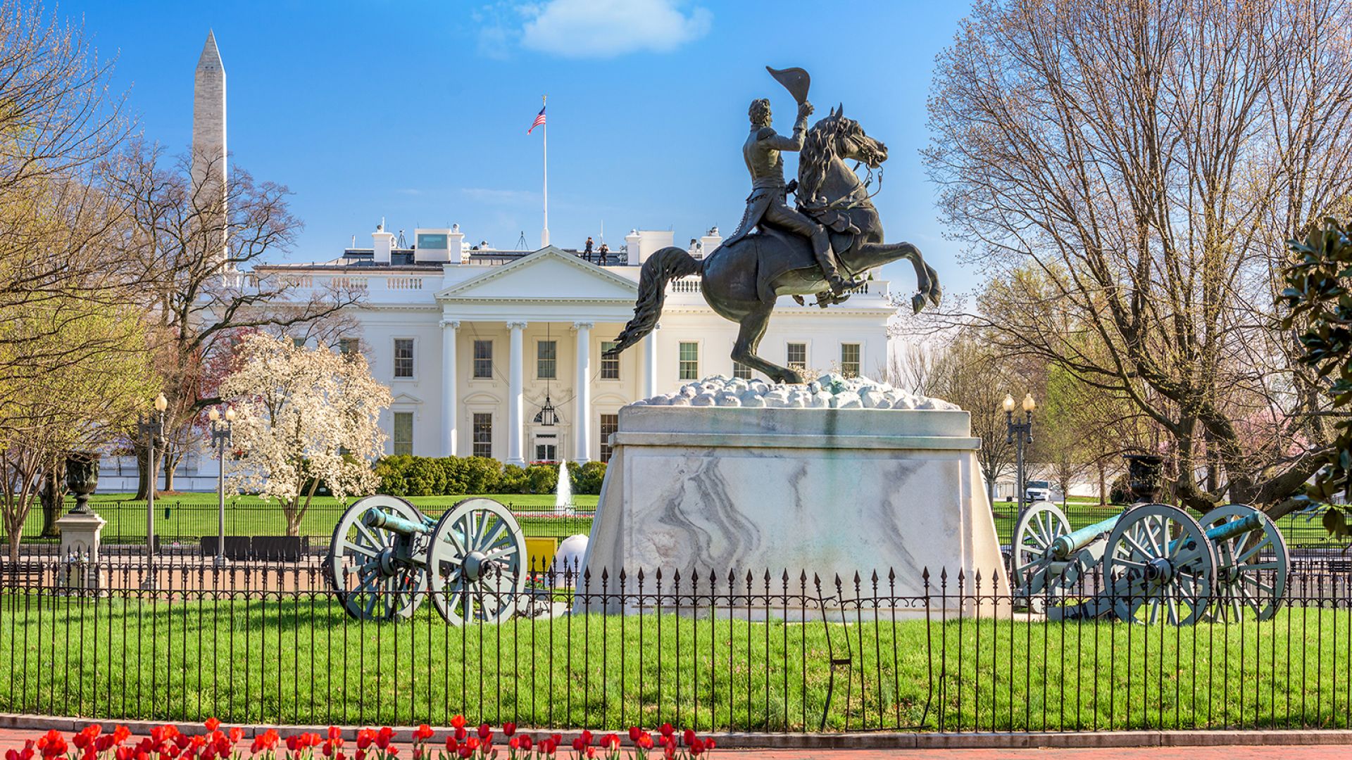 Washington DC Highlights, 1-Day Tour from NYC