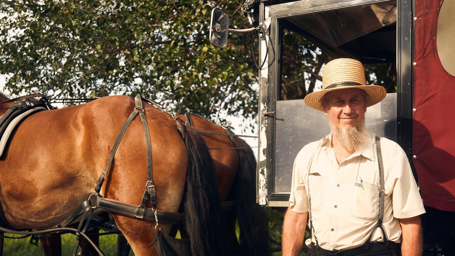 Philadelphia and Amish Country, 1-Day Tour from NYC