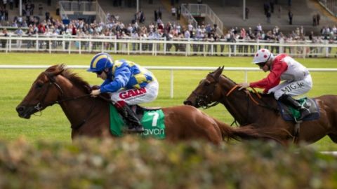 16TH MAY - SUMMER SATURDAY