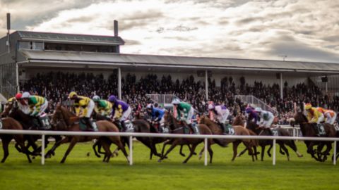 19TH SEPTEMBER - RETURN OF THE JUMPS