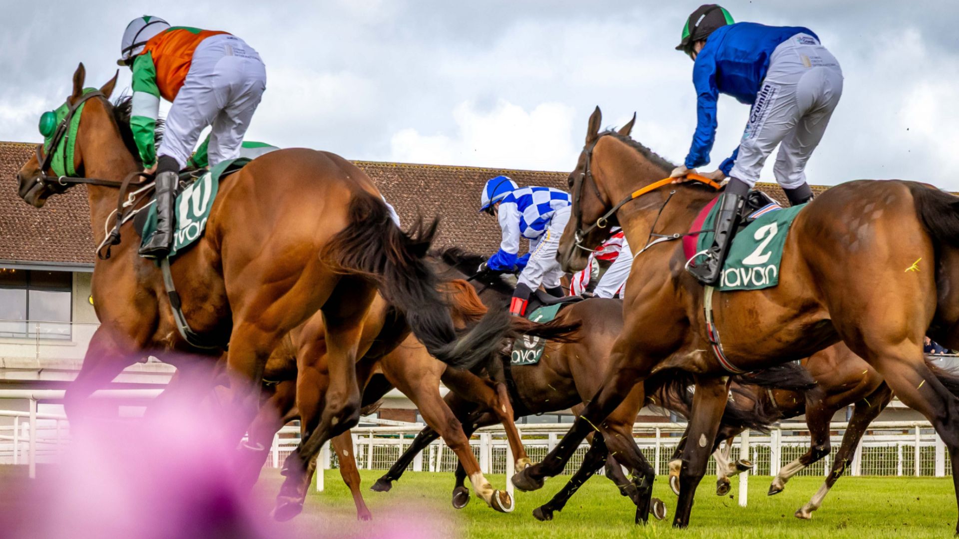 25TH APRIL - VINTAGE CROP STAKES
