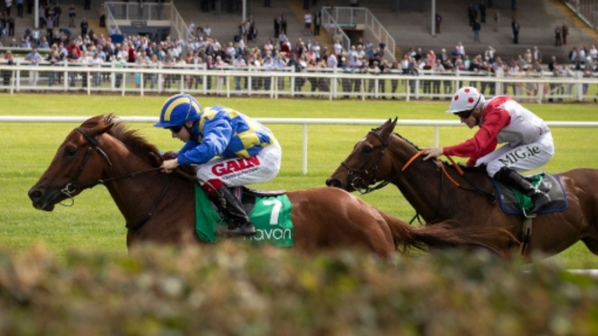 16TH MAY - SUMMER SATURDAY