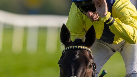 WILLIAM HILL CHAMPION CHASE DAY - 28TH APRIL