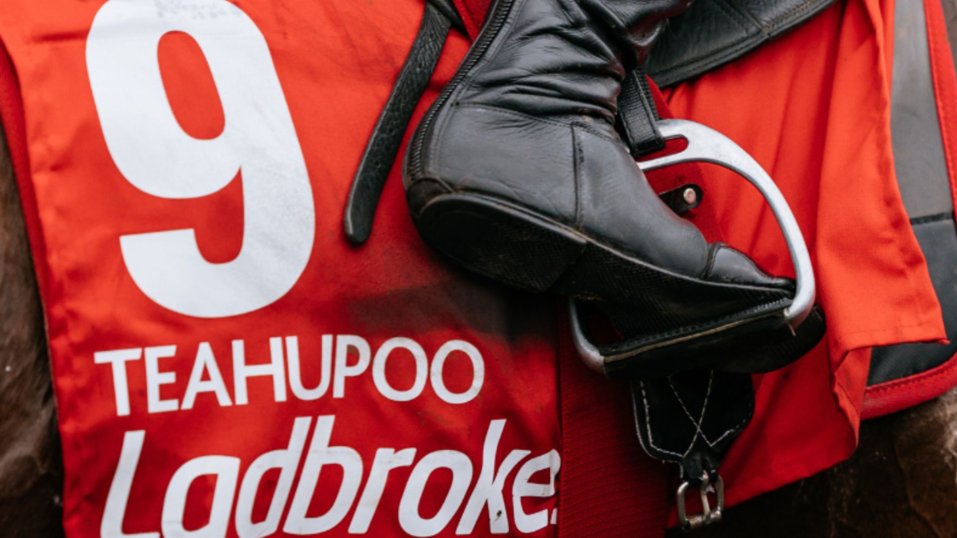 LADBROKES STAYERS HURDLE DAY - 30TH APRIL