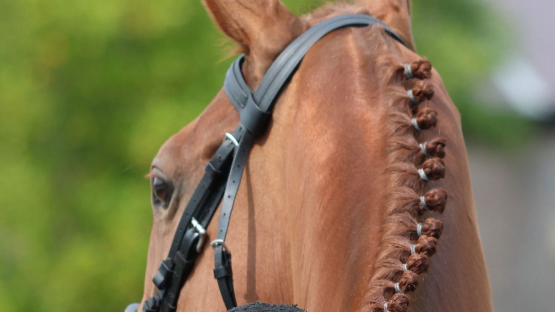 SUMMER IN TOWN DAY 1 - 6TH JUNE