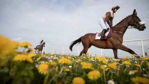 28TH MAY 2026 - EVENING FLAT RACING