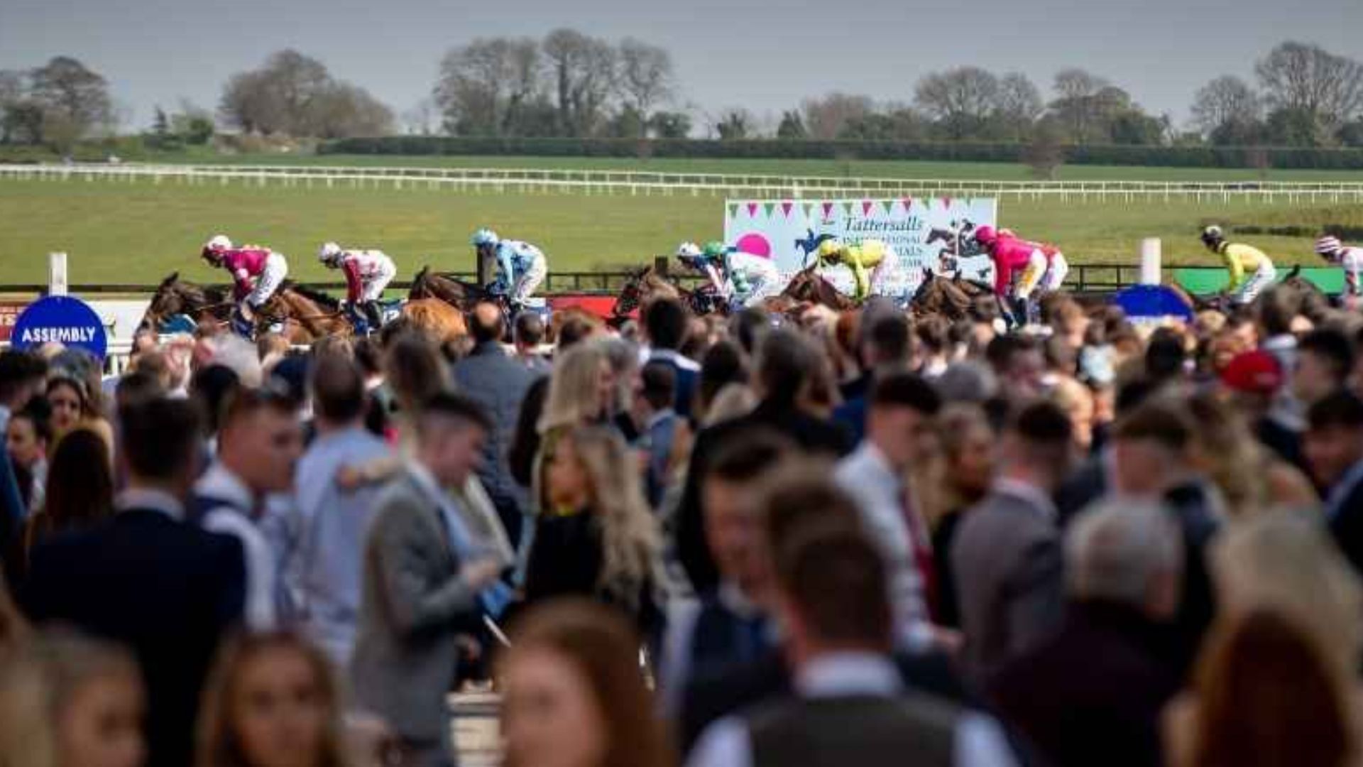 5TH JUNE 2026 - EVENING FLAT RACING