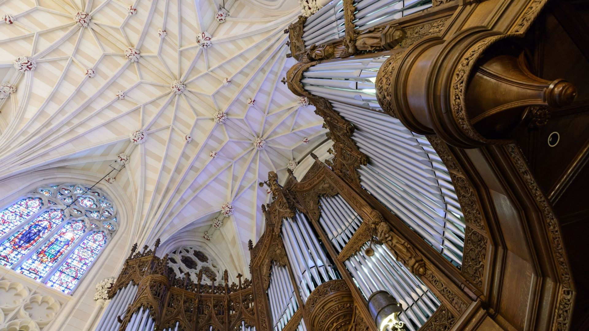 St Patrick's Cathedral Official Behind the Scenes VIP Tour