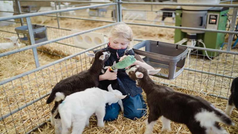 Errington's Barn - Kidding Tour and Experience