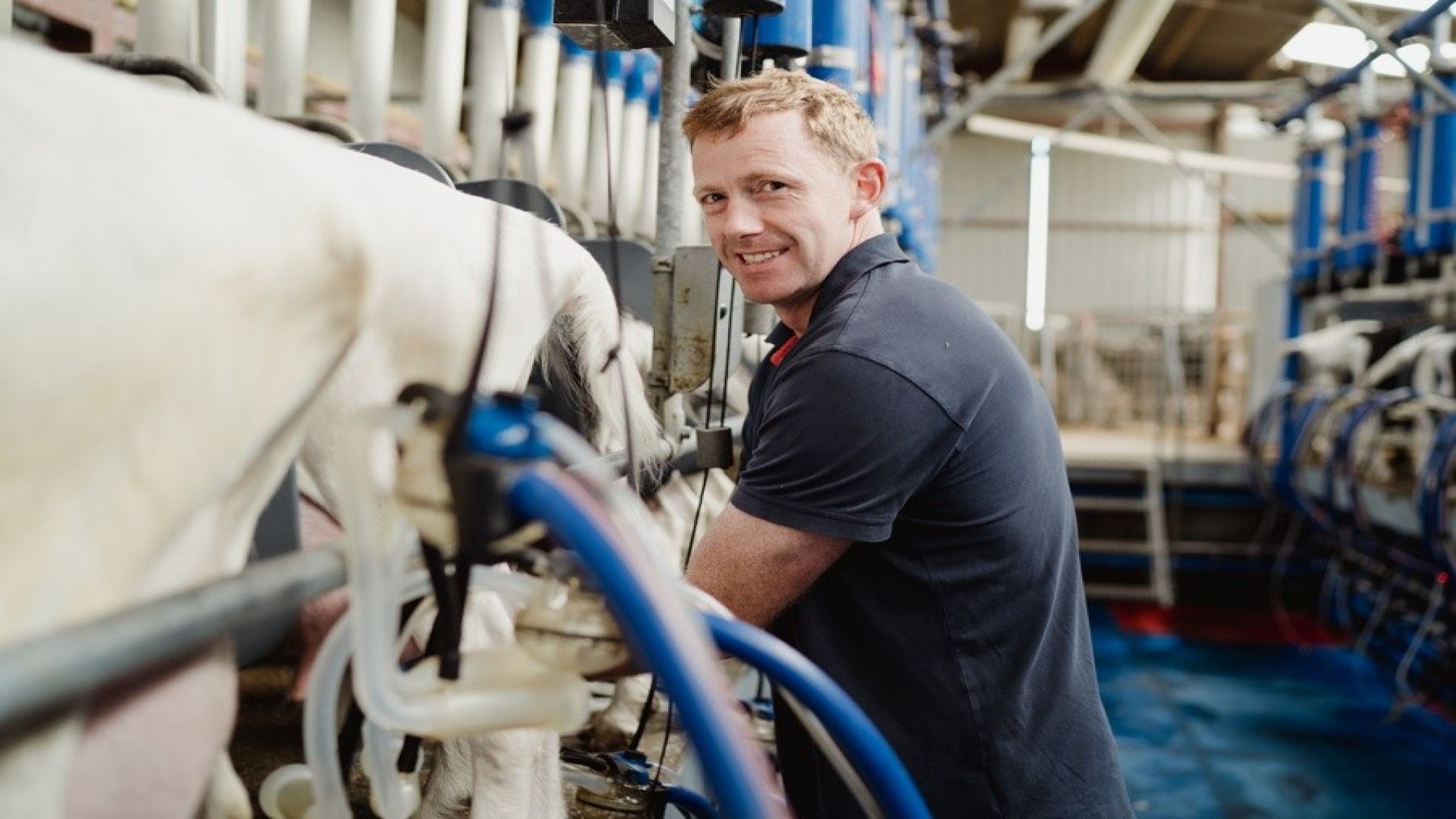 Errington's Barn - Working Farm Tour