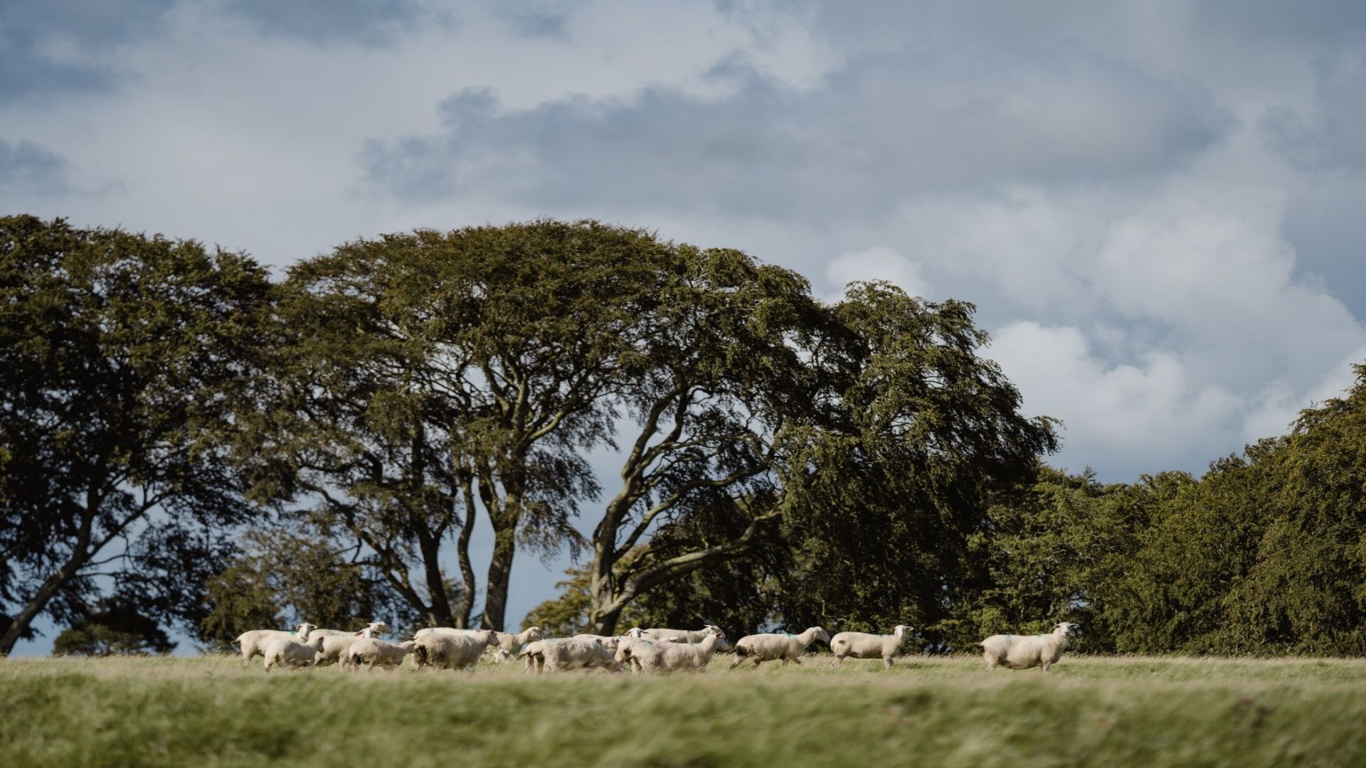 Errington's Barn - Working Farm Tour