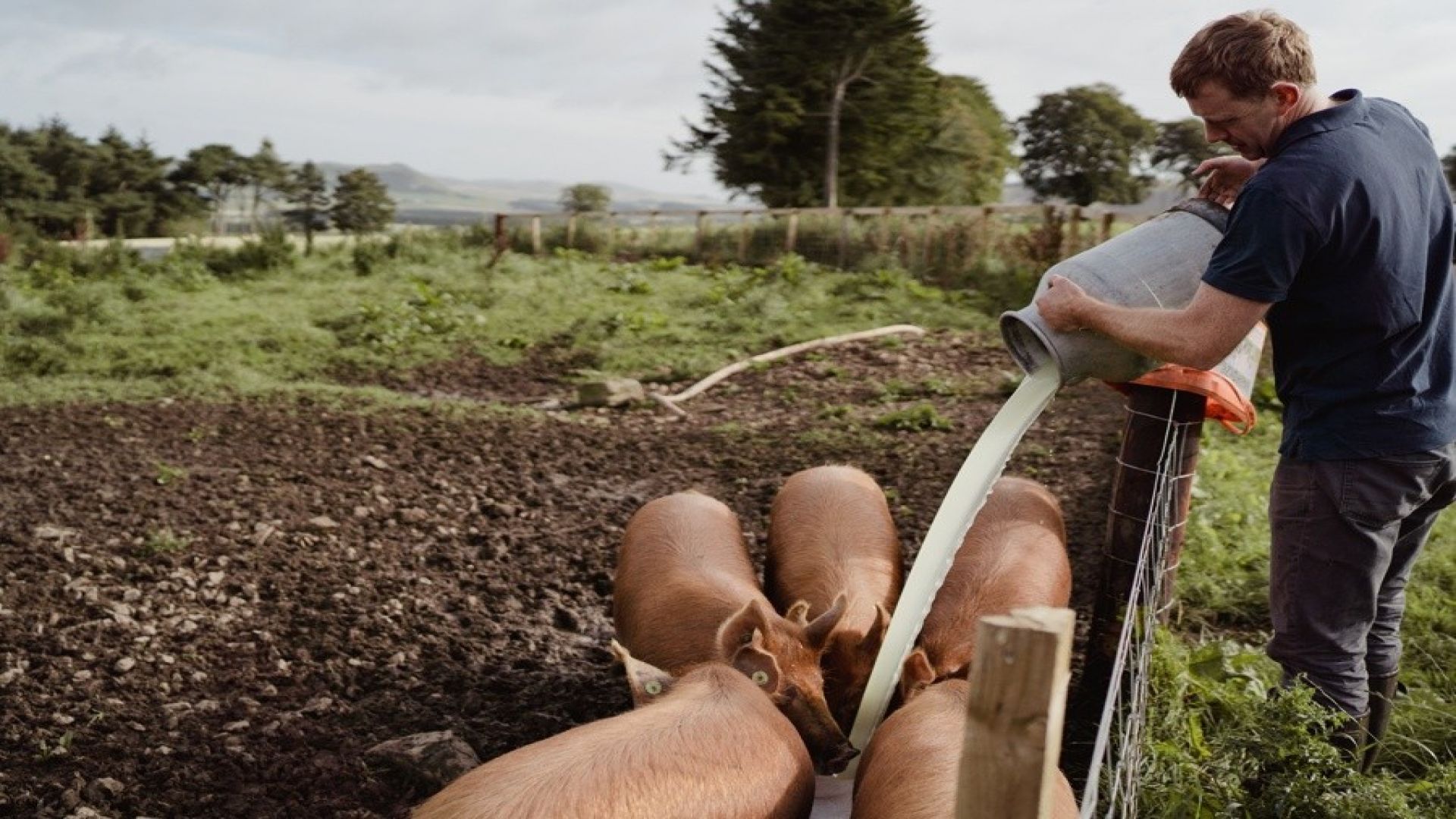 Errington's Barn - Working Farm Tour