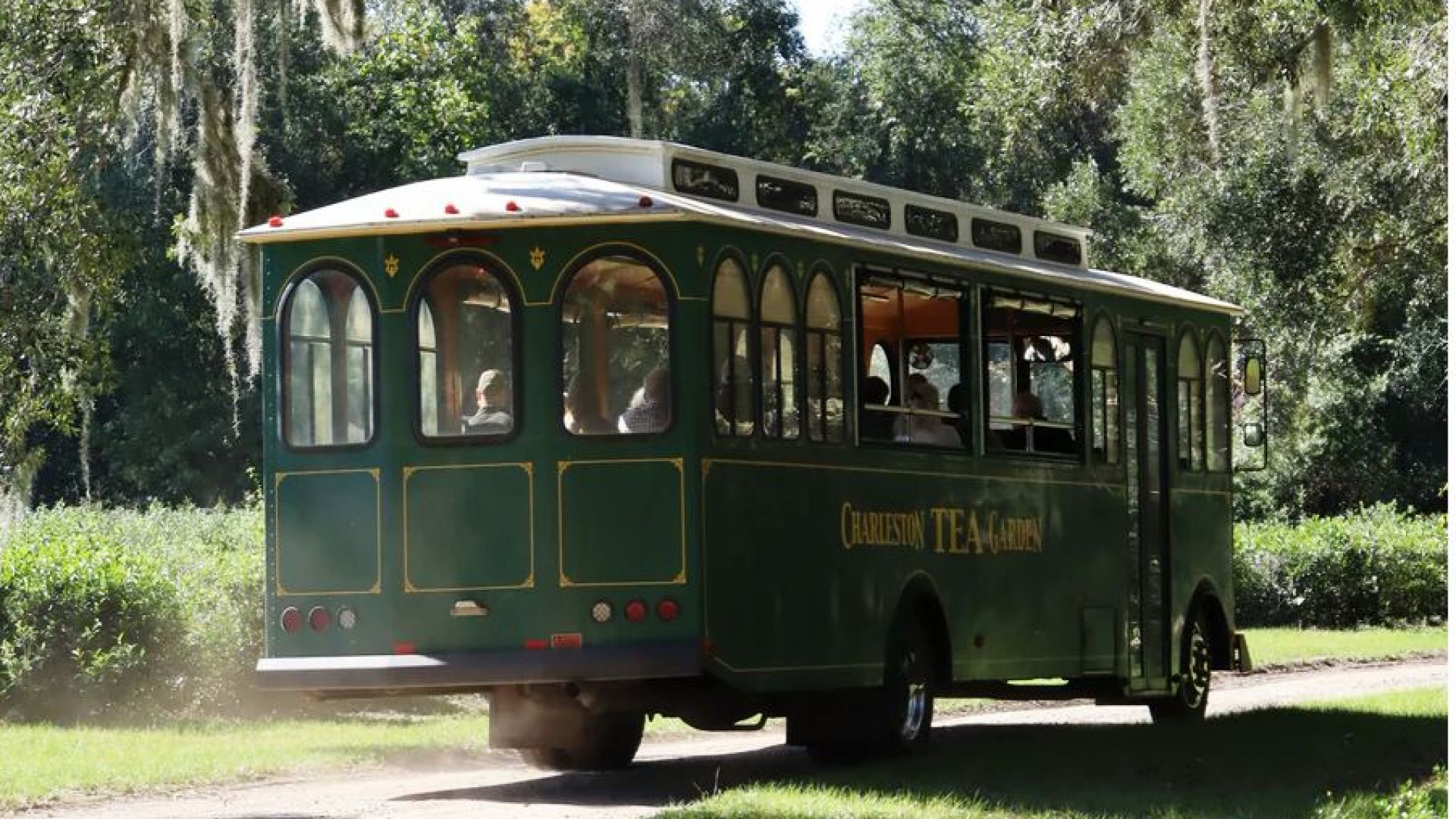 Trolley Tour