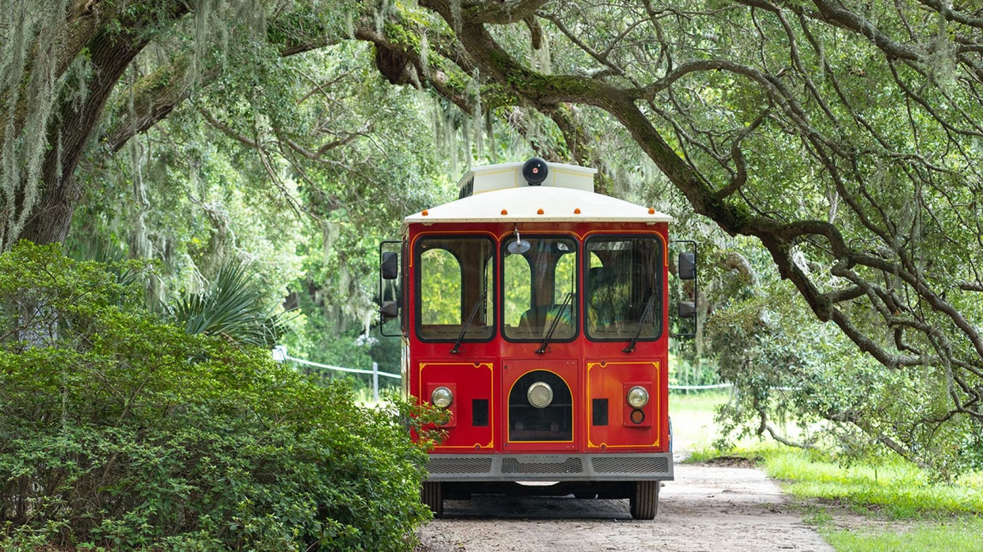 Trolley Tour