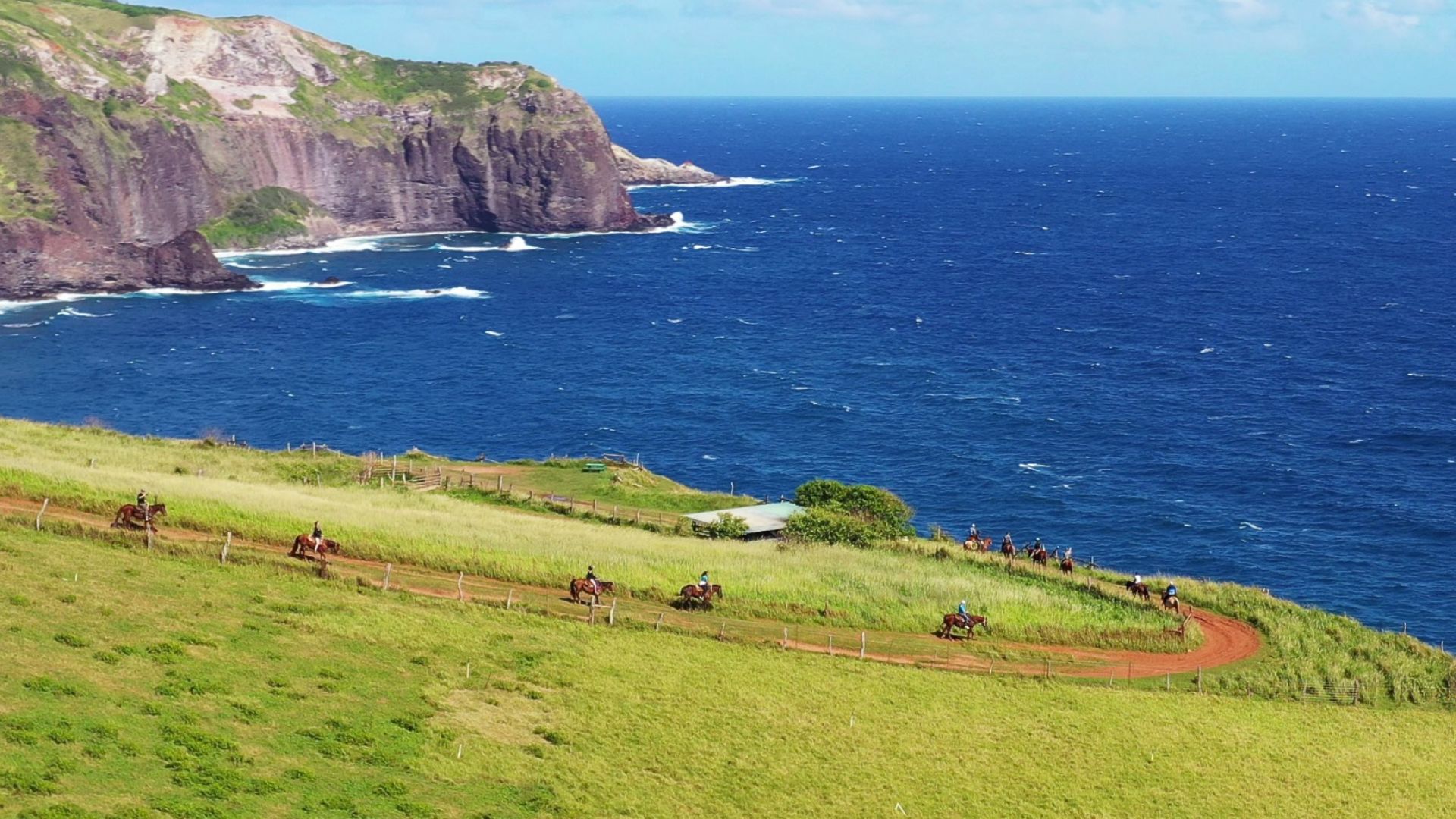Maui Horseback Riding Experience