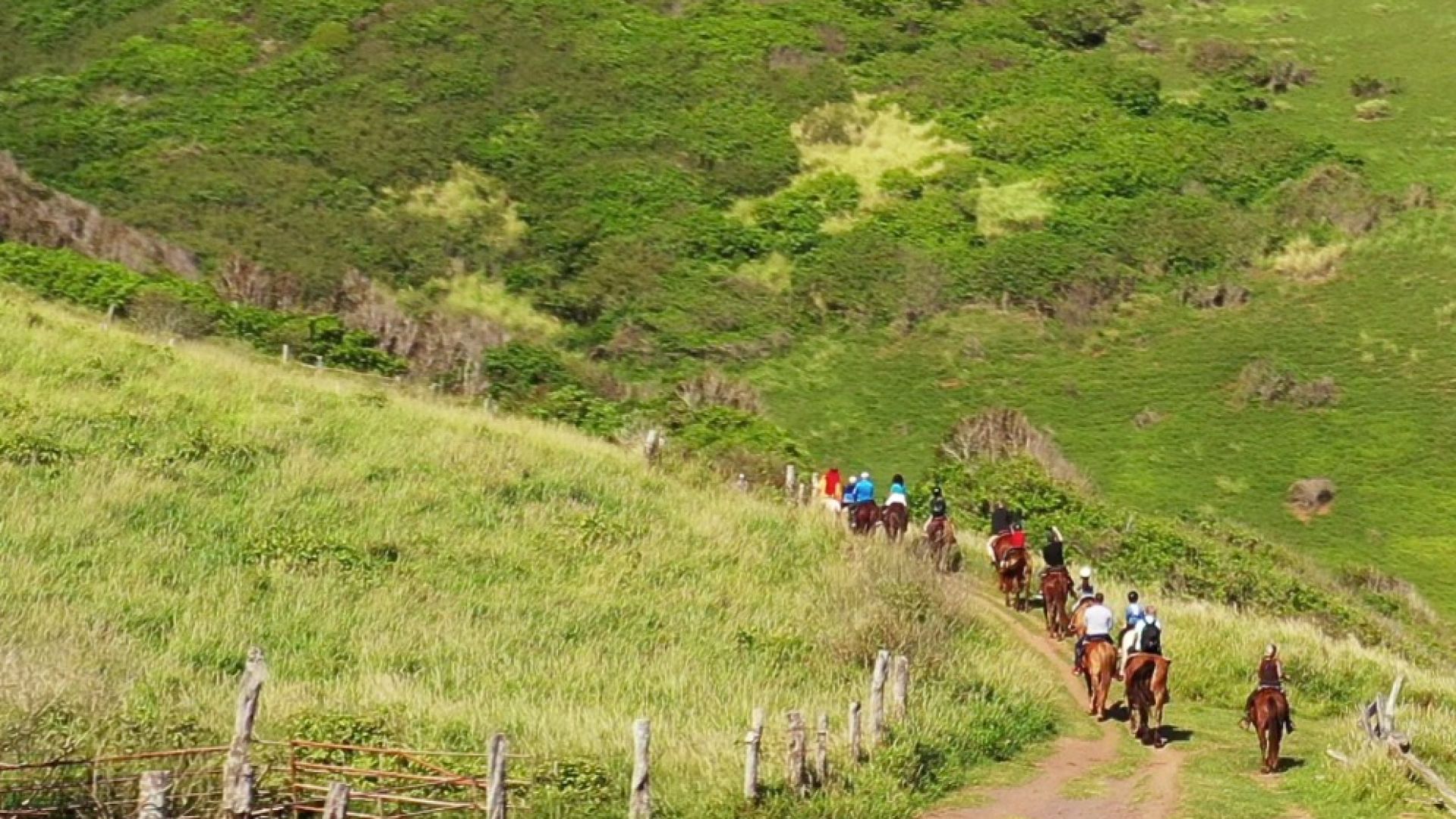 Maui Horseback Riding Experience