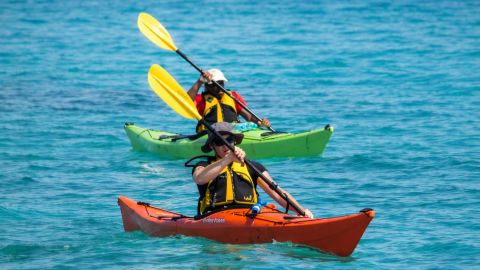 Lido Key - Single Kayak Rental
